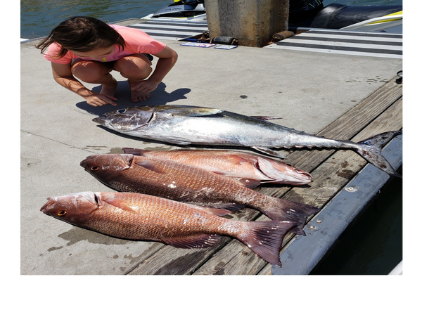 Tuna and snapper caught while deep sea fishing in New Smyrna Beach