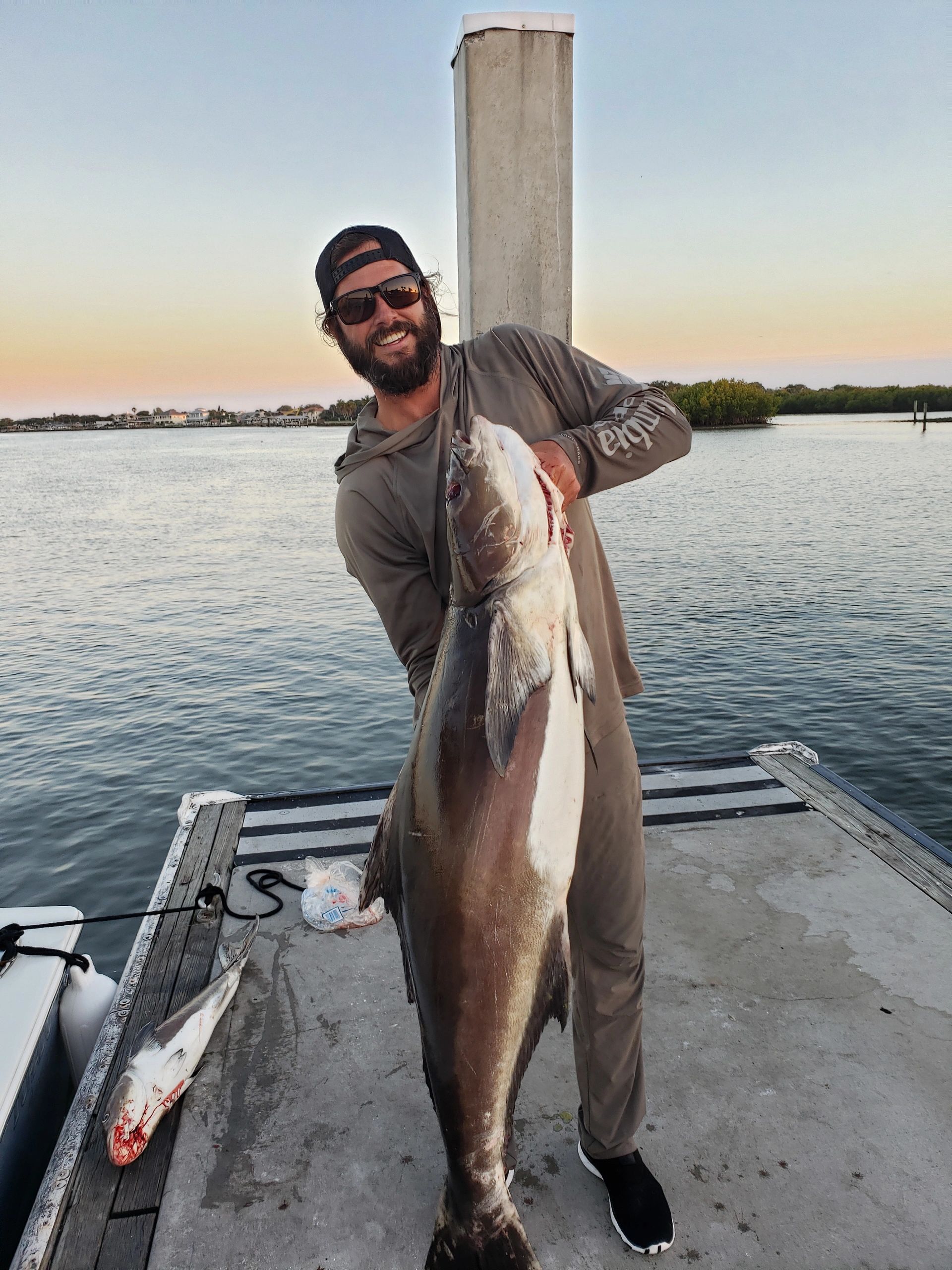 Cobia caught while deep sea fishing in New Smyrna Beach