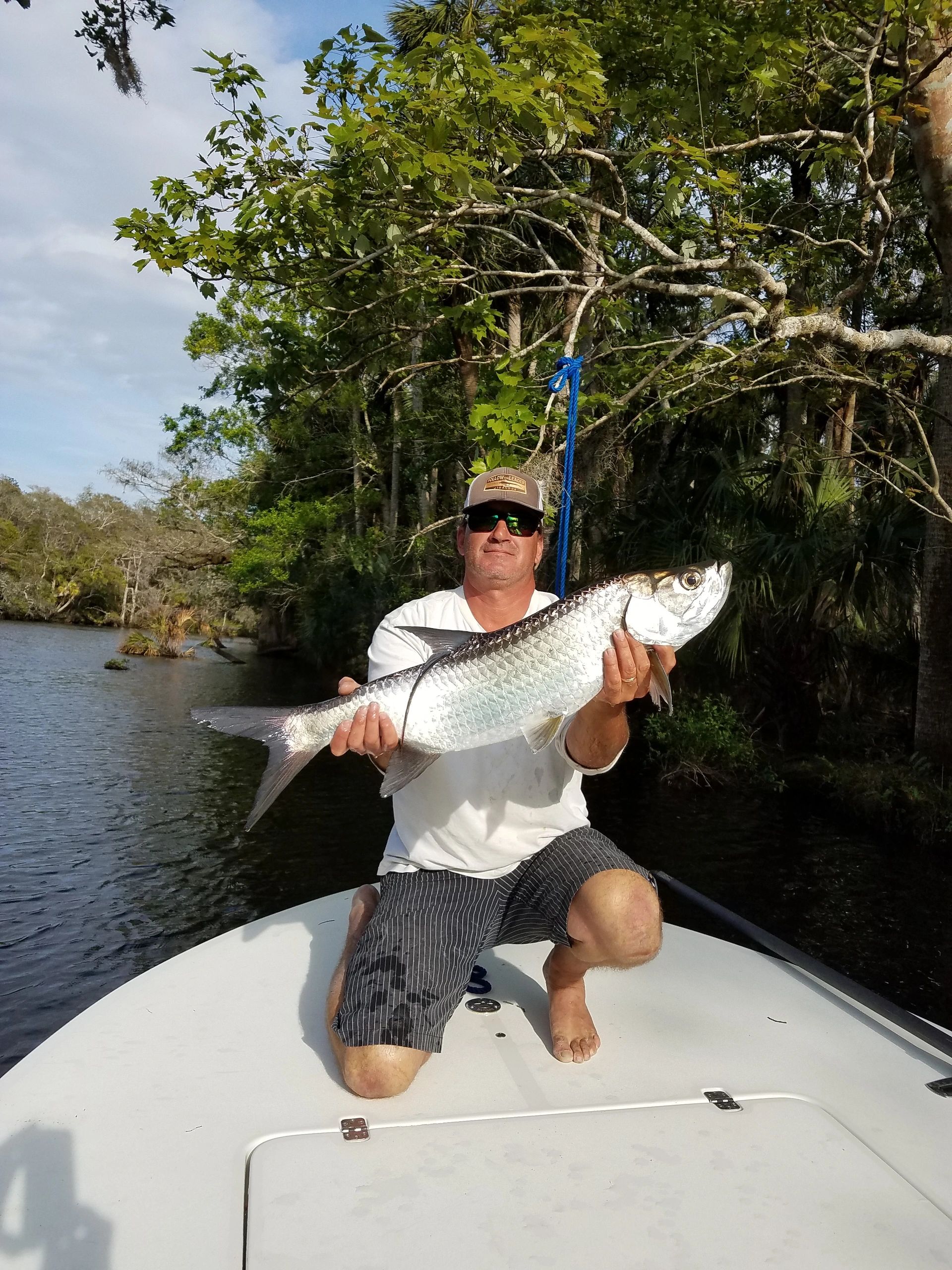 Tarpon caught during an inshore fishing charter in New Smyrna Beach