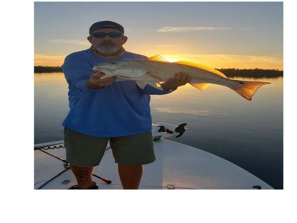 Redfish are our most common catch inshore, client holding early morning redfish while on a inshore fishing trip in New Smyrna Beach