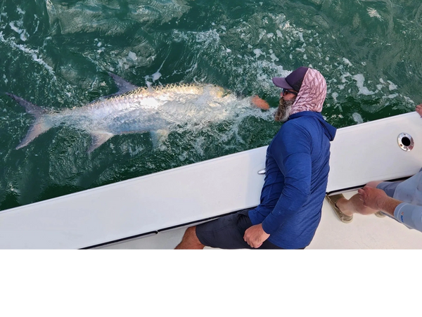 Tarpon caught by clients inshore fishing — these fish are very aggressive and jump a lot