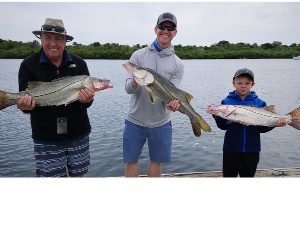 Snook are super aggressive caught on inshore fishing trip here in New Smyrna Beach
