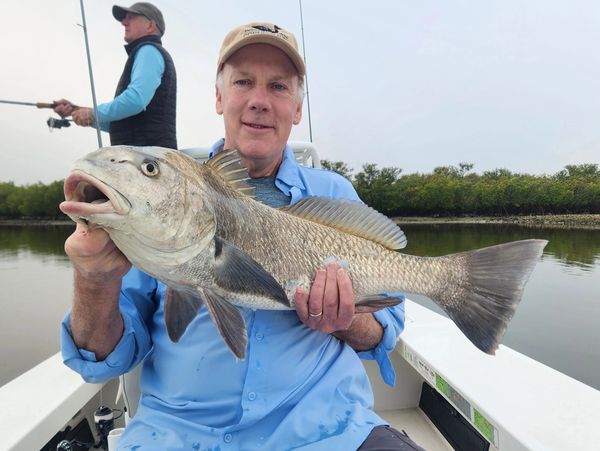 Clients inshore fishing on Mosquito Lagoon near New Smyrna Beach, Florida